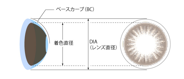 今井華さんプロデュース!ハーフシリーズのカラコンを徹底紹介!