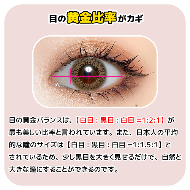 目の黄金比にあったカラコンの選び方 カラコン通販トゥインクルモール 公式 激安 送料無料 当日発送