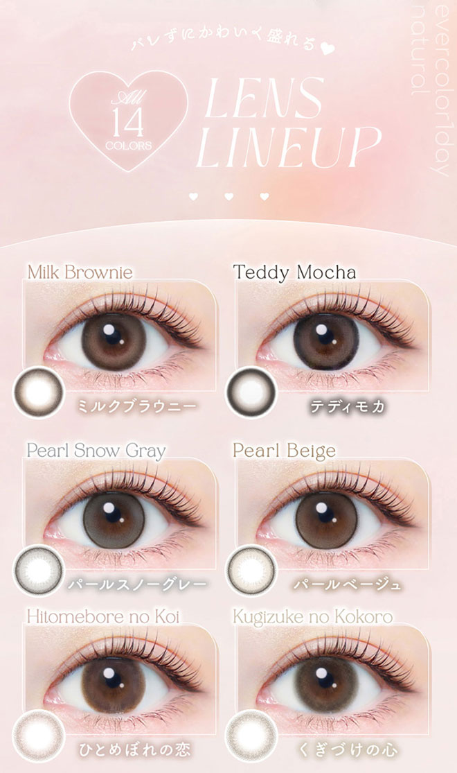 エバーカラーワンデーナチュラル evercolor 大人盛れ 新木優子