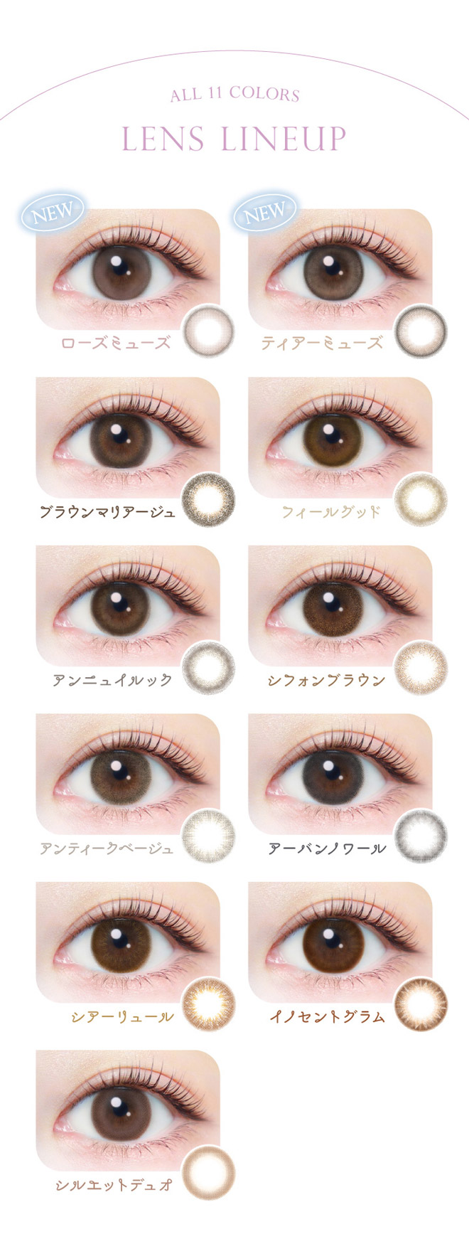 エバーカラーワンデーナチュラル モイストレーベル UV evercolor 新木優子