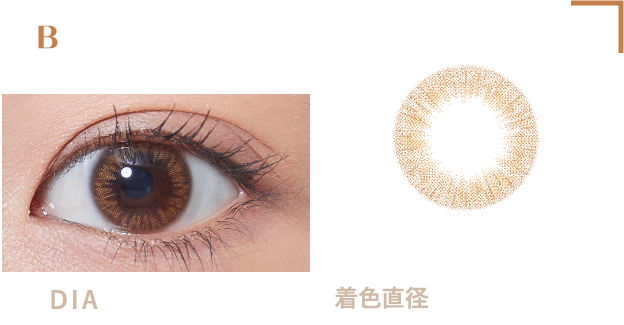 Bitter Umber…DIA 14.0mm・着色直径12.0mm