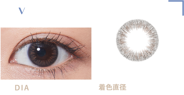 Veil Taupe…DIA 14.0mm・着色直径12.0mm