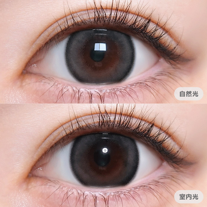 トリコニナル トリコグレー 10枚入 きょうか / カラコン通販トゥインク