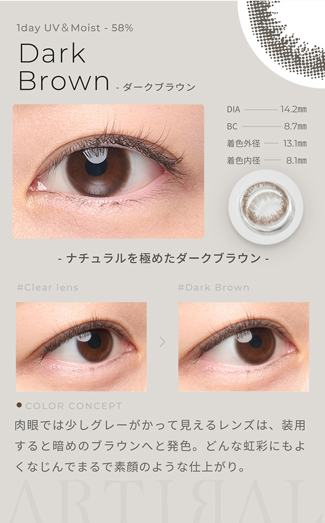 アーティラルワンデーUVM ダークブラウン 10枚入