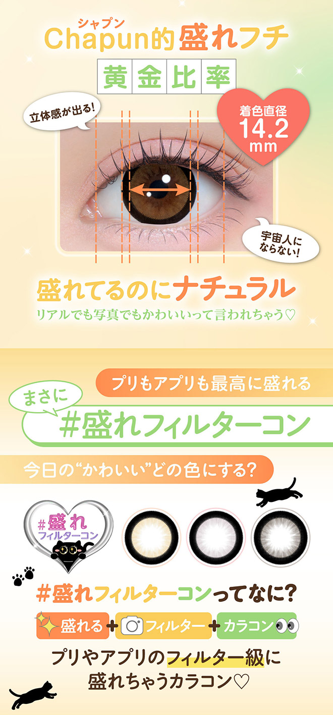 シャプン おめかしキャメル 10枚入 齋藤なぎさ