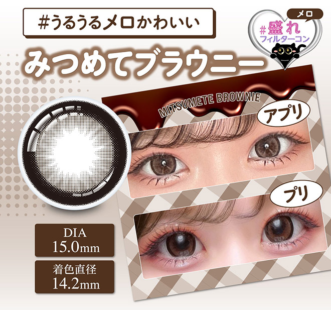 シャプン みつめてブラウニー 10枚入 齋藤なぎさ