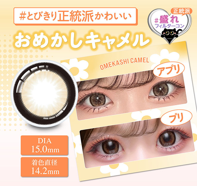 シャプン おめかしキャメル 10枚入 齋藤なぎさ