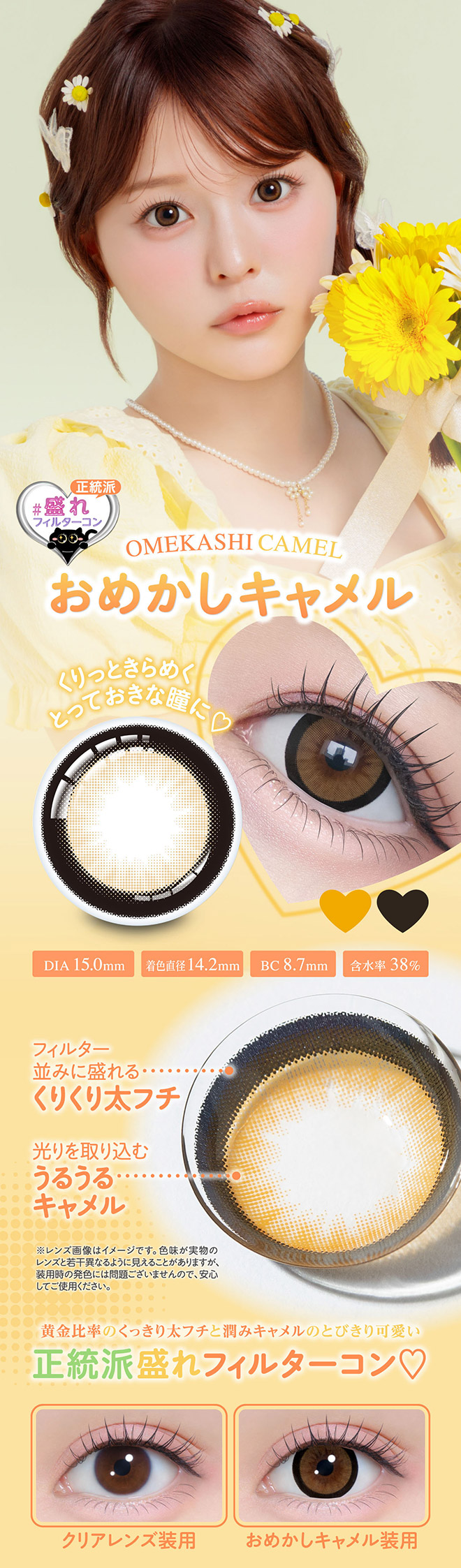 シャプン おめかしキャメル 10枚入 齋藤なぎさ