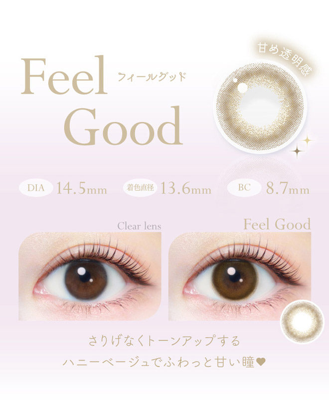 エバーカラーワンデーナチュラルモイストレーベルUV フィールグッド 20枚入 EverColor1day NATURAL MOIST LABEL UV