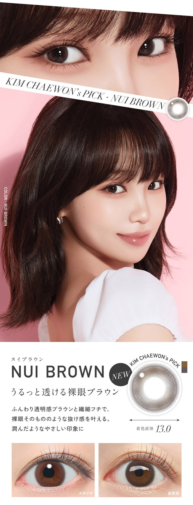 レヴィアワンデーサークル ヌイブラウン 10枚入 キムチェウォン