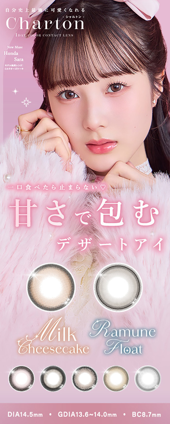 シャルトンワンデー ミルクチーズケーキ 10枚入 本田紗来