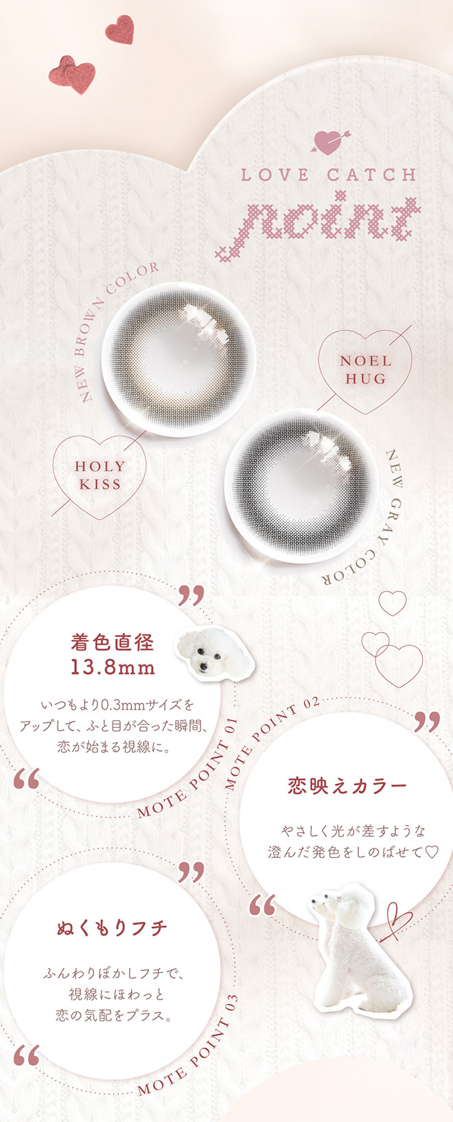 チューズミーワンデー ノエルハグ 10枚入 菅本裕子(ゆうこす)