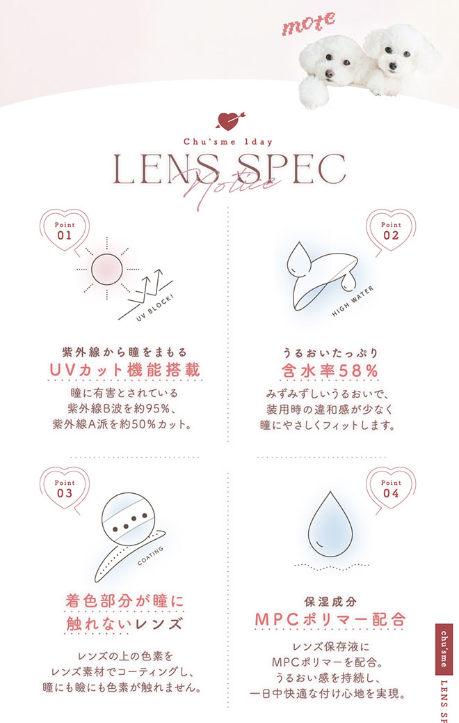 チューズミーワンデー ノエルハグ 10枚入 菅本裕子(ゆうこす)