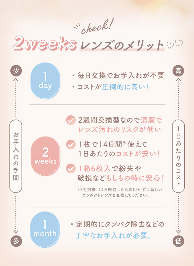エルージュ ティアーラテ 6枚入 マーシュ彩