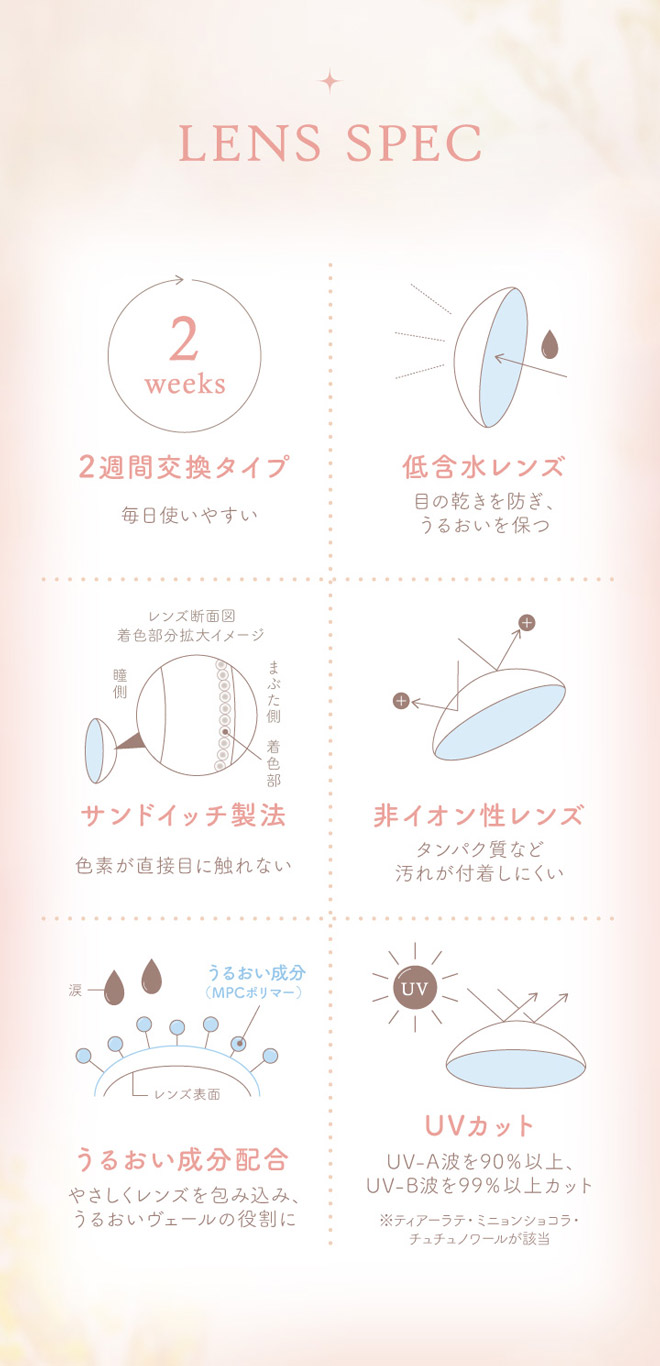 エルージュ ティアーラテ 6枚入 マーシュ彩