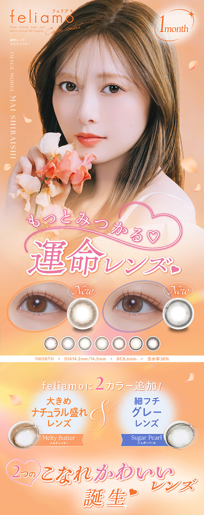 フェリアモマンスリー シュガーパール 2枚入 白石麻衣